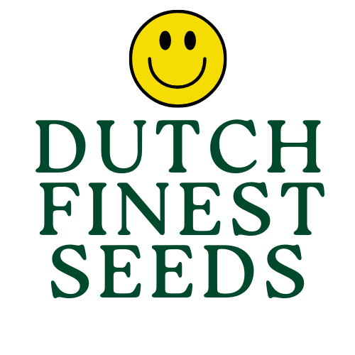 Dutch Finest