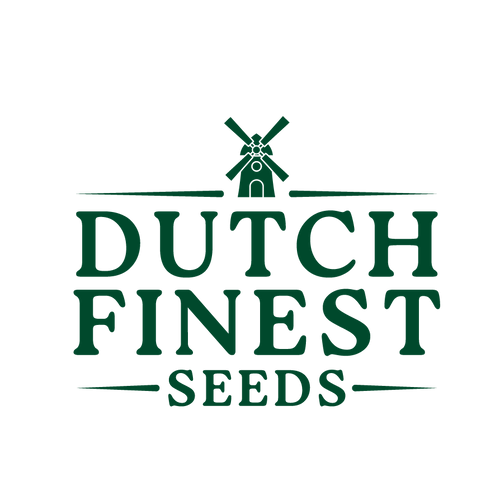 Logo of Dutch Finest Seeds with a windmill on a white background