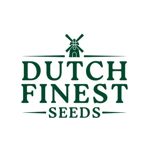 Logo of Dutch Finest Seeds with a windmill on a white background