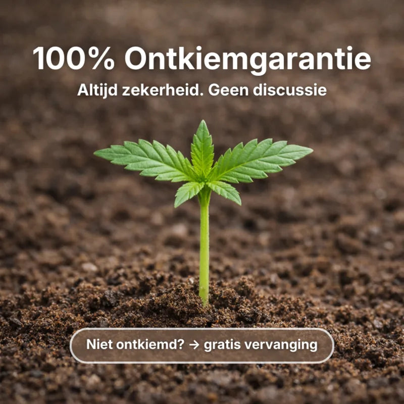 Hy-Seeds Zaadstarter 5 ml